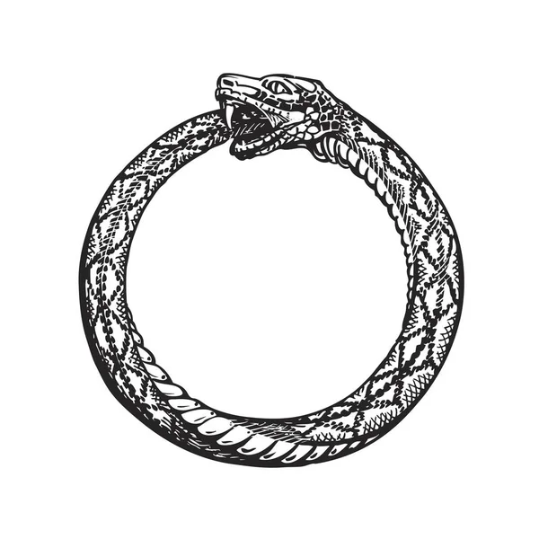 Uma imagem do simbolo Ouroboros, um arquetipo do qual Jormungandr faz parte.